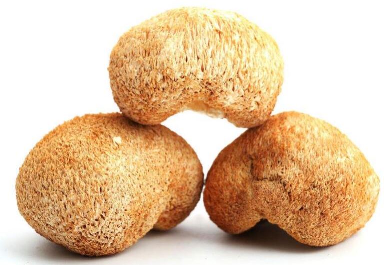 Pure lion s mane mushroom powder Pure lion s mane mushroom powder